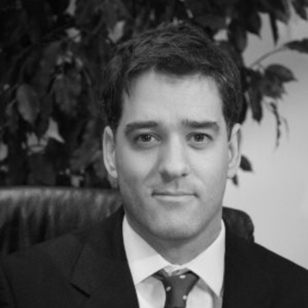 Person in a suit sitting in front of a leafy plant.