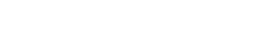 Page Executive Logo