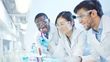 dd