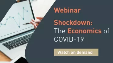 Person analyzing graphs on laptop during COVID-19 economics webinar.