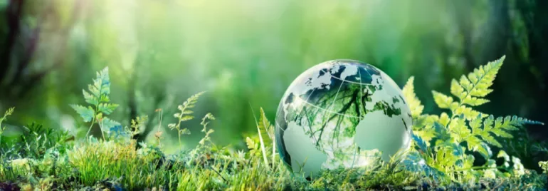 Glass globe reflecting forest, surrounded by green ferns and moss.