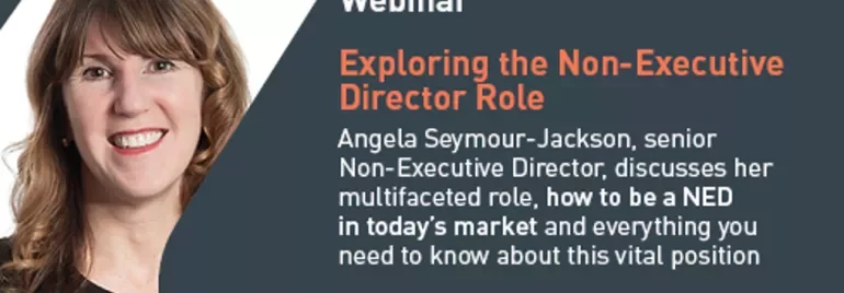 Webinar on Non-Executive Director role with discussion on market strategies.