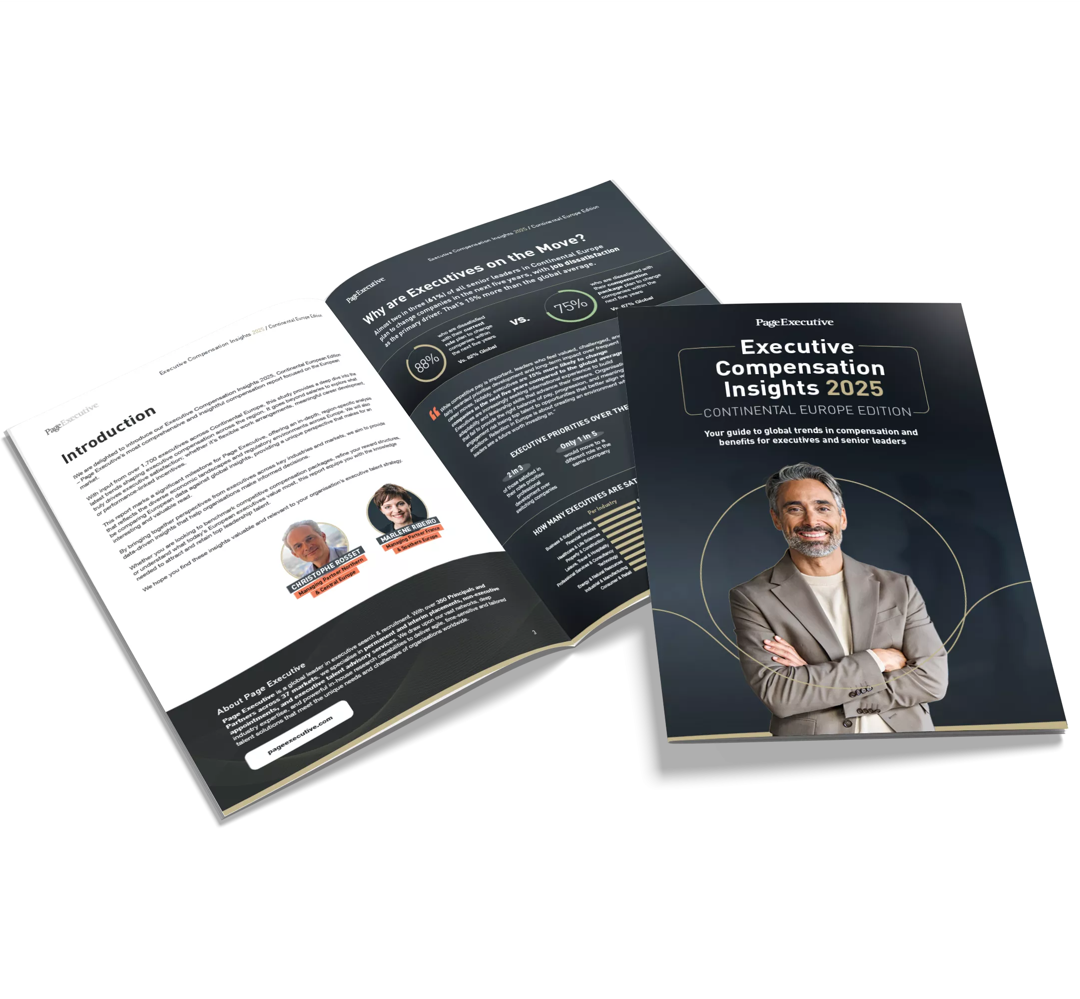 A report showing the cover of Executive Compensation Insights 2025 - Continental europe edition 